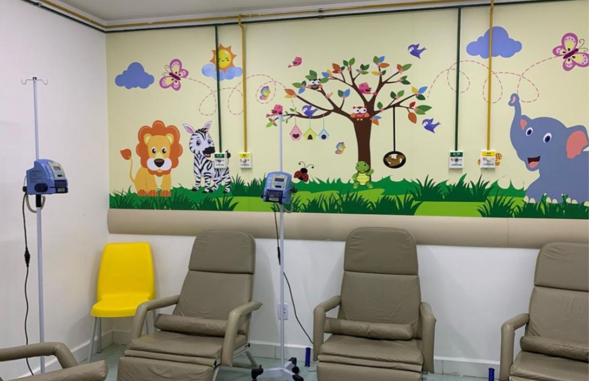 Rarus: serviço de referência do Hospital Maria Lucinda oferece atendimento integral gratuito para pacientes com Doenças Raras